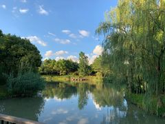 -中国浦东干部学院