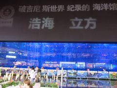 -成都浩海立方海洋公园