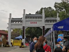 -东湖落雁景区