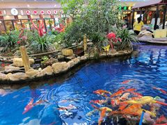 -鸿通城购物中心