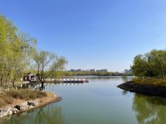-大兴滨河森林公园