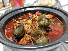 -大萝卜烧烤羊蝎子烤全羊(新城河路店)