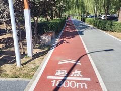 -绿堤公园