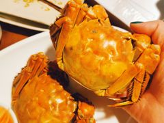 -揽季锅物会.福建黄鱼.海鲜姿造(五四路店)