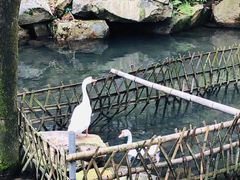 -溪口商量岗景区