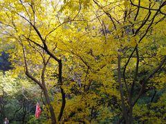 -北京上方山国家森林公园