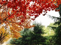 -山东理工大学