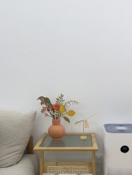 -初练产后康复