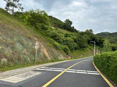 -黄埔油麻山森林公园
