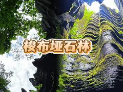 -梭布垭石林景区