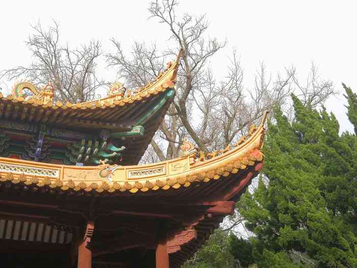 doctype html> html lang="zh-cn"> head> meta charset="utf-8"/> me