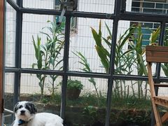 -21G Espresso(吉珠南门店)