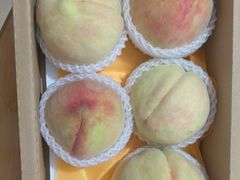 -老袁家蜜桃农场·阳山水蜜桃