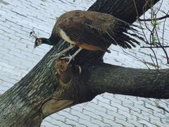 -金庭庄园酒店-停车场