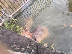 -海南热带野生动植物园