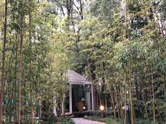 -西郊宾馆·1921餐厅