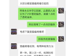 -千城康桥宠物医院·猫科·骨科·心脏