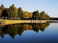 -大兴滨河森林公园