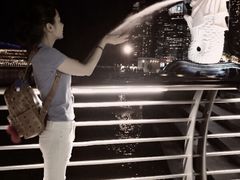 -鱼尾狮公园