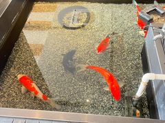 -0776食堂·京城创意菜(七里庄店)