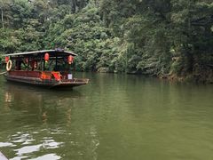 -保利石象湖景区
