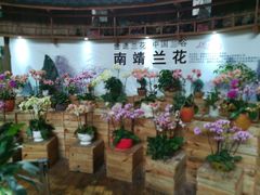 -东南花都花博园
