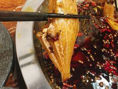 香辣耗儿鱼-耗儿鱼蛙蛙叫·老成都火锅(蛇口海昌街店)