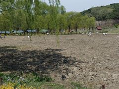 -沈阳森林动物园