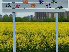 -汉长安城未央宫国家考古遗址公园