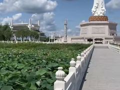 -呼兰河口湿地公园