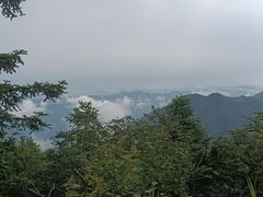 -大围山国家森林公园