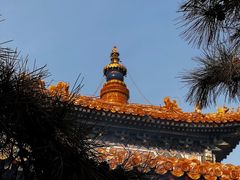 -VA Cafe(五道营店)