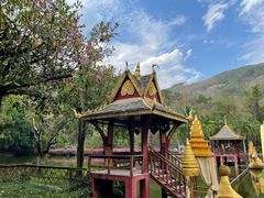 -西双版纳原始森林公园