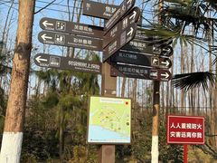 -合肥滨湖国家森林公园