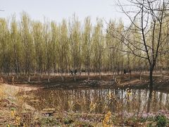 -东郊湿地公园