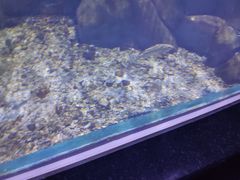 -临沂极地海洋王国