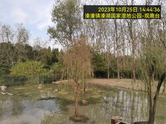 -溱湖国家湿地公园