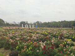 -广东花都香草世界旅游度假区