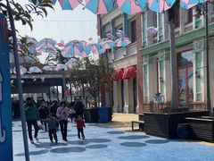 -芜湖新华联大白鲸海洋公园