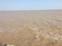 -南汇嘴观海公园