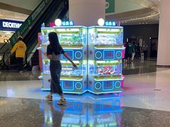 -悦然广场(北滘店)