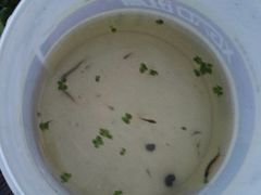 -梁鸿国家湿地公园