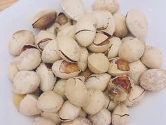 -一本钓鲔鱼屋