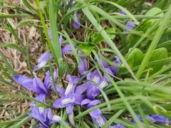 -白草畔自然风景区