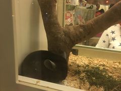 -龙猫仔乐园(惠福东路店)