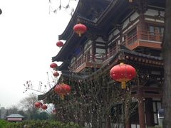 -西安青龙寺遗址景区