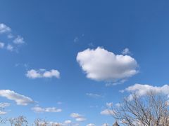 -哈尔滨波塞冬海底世界