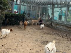 -无锡动物园·太湖欢乐园
