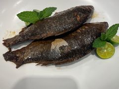 -紫光园·烤鸭·北京菜(劲松店)