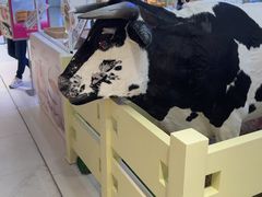 -红星前进面包牛奶公司(君太店)